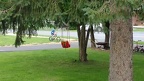 videotest