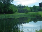 Reflective pond at tenley park.