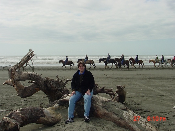 This is inx on a log. Horses in the back.