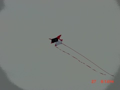 Solarized kites.