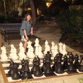 the giant chess set that u can actually play with