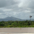 the mountains which happen to be rainforests