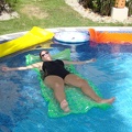 Robin floating in pool